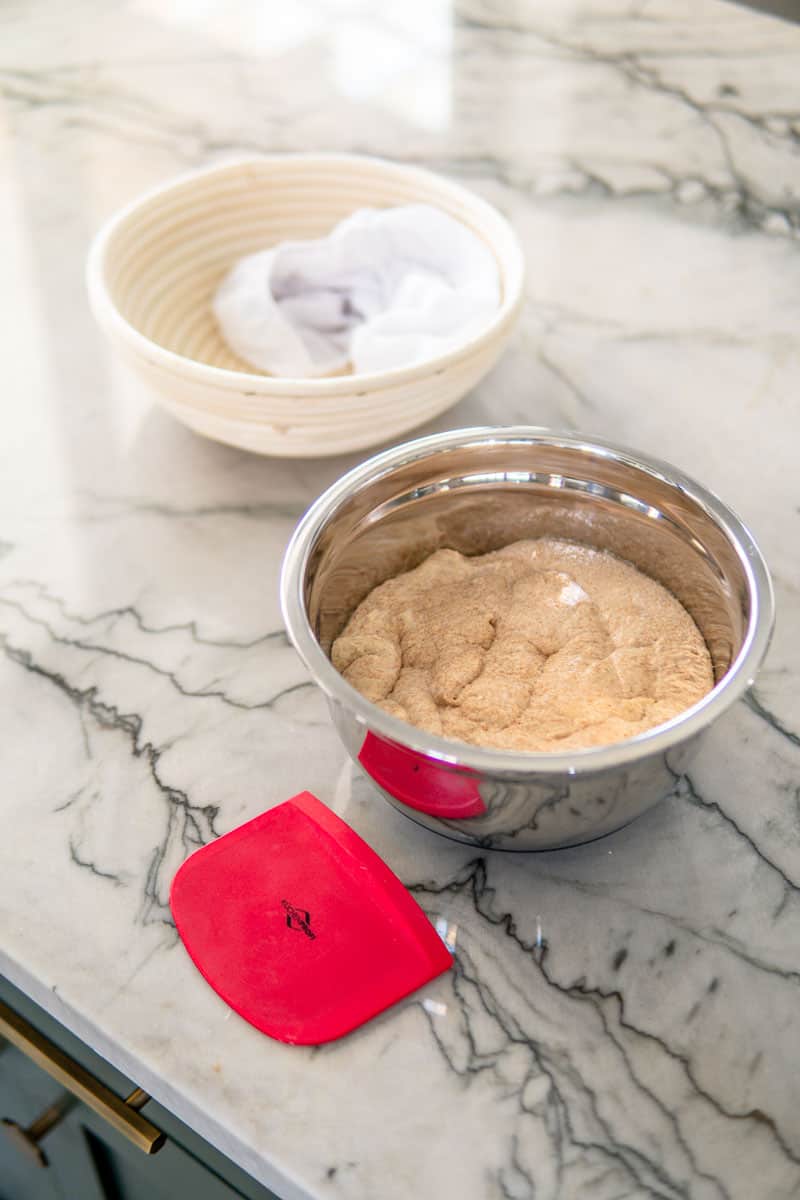 final dough ready to be shaped