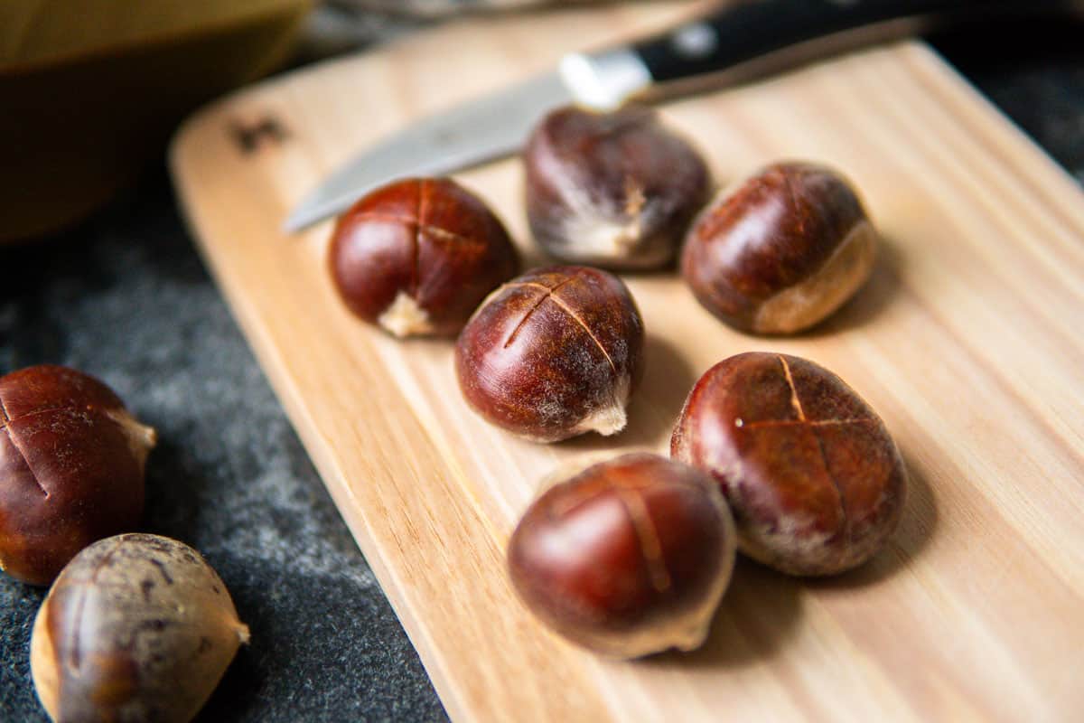 fresh chestnut with a cross cut into the shell
