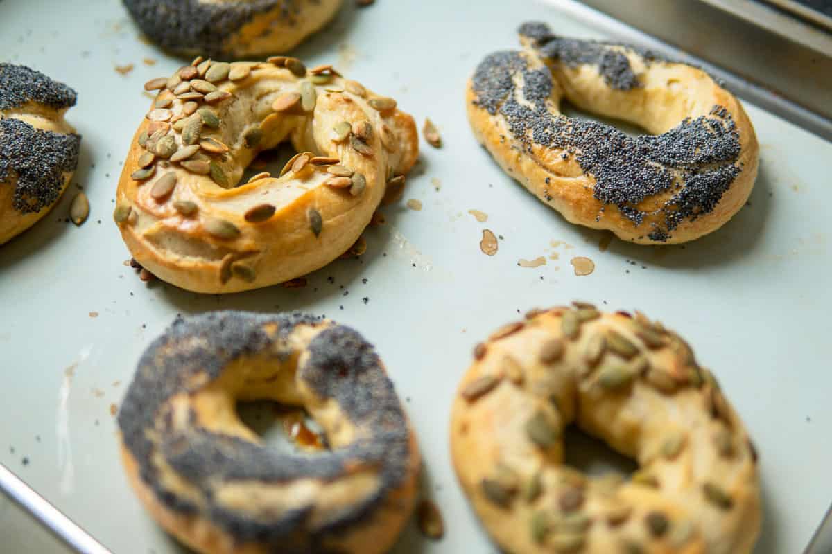 bagels after baking