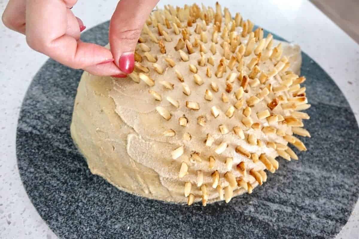 A "porcupine-looking" cake sat on a platter with finishing touches being added by a hand in the corner.