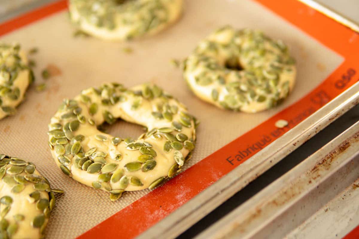 Pretzel bagels topped with pumpkin seeds before baking.